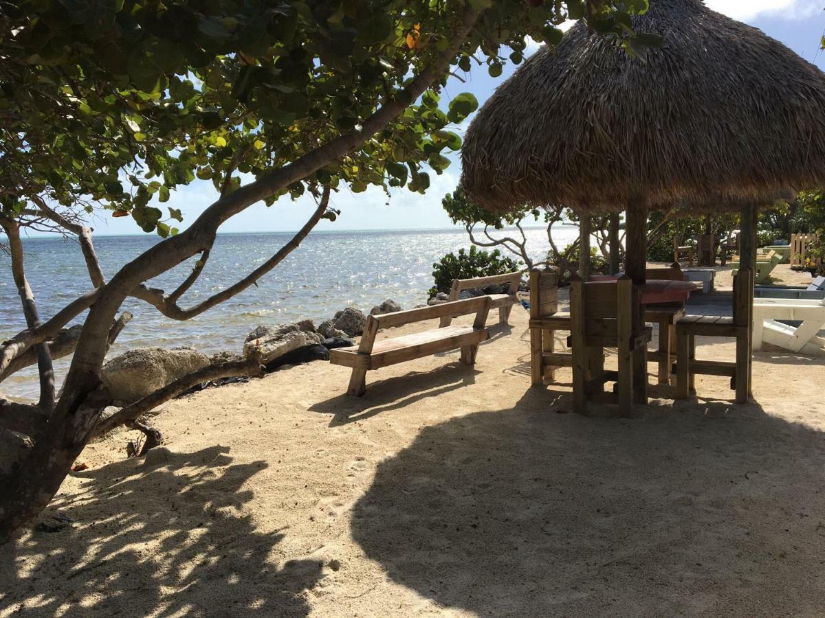 Licensed Mgr - Modern Oceanfront Condo! Beautiful Ocean Views! Beach Resort! 2 King Beds! Key Largo Extérieur photo