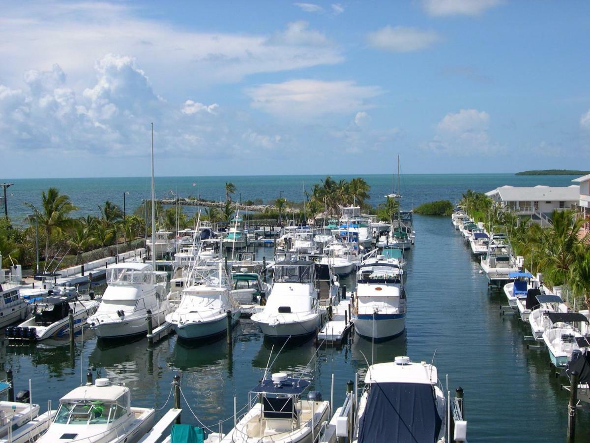 Licensed Mgr - Modern Oceanfront Condo! Beautiful Ocean Views! Beach Resort! 2 King Beds! Key Largo Extérieur photo